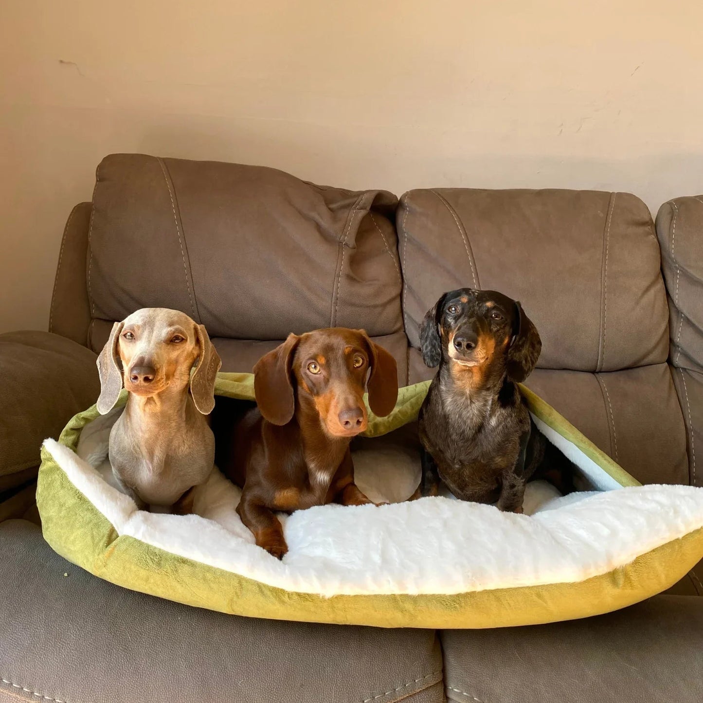 NidoCalm™ | Cama Envolvente para Perros que Buscan Calidez y Refugio