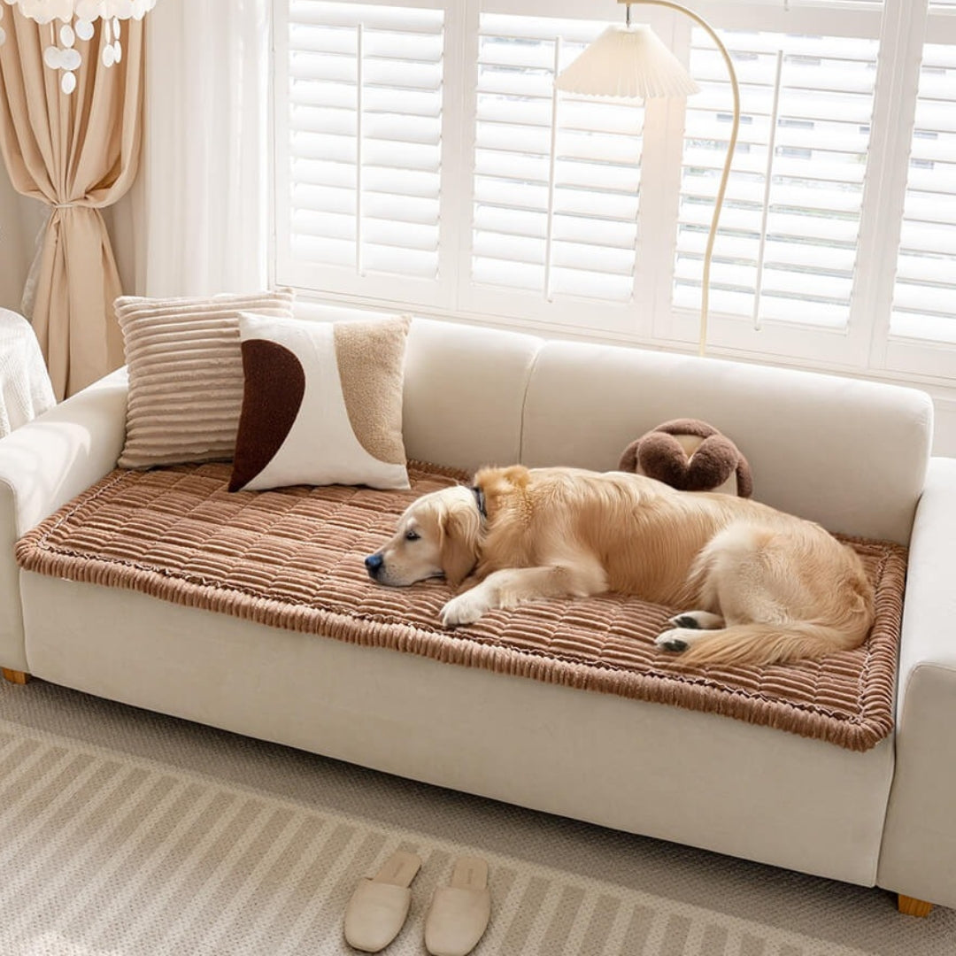 Nube™ | Cubierta Premium para Sofá y Rincón de Descanso para Mascotas