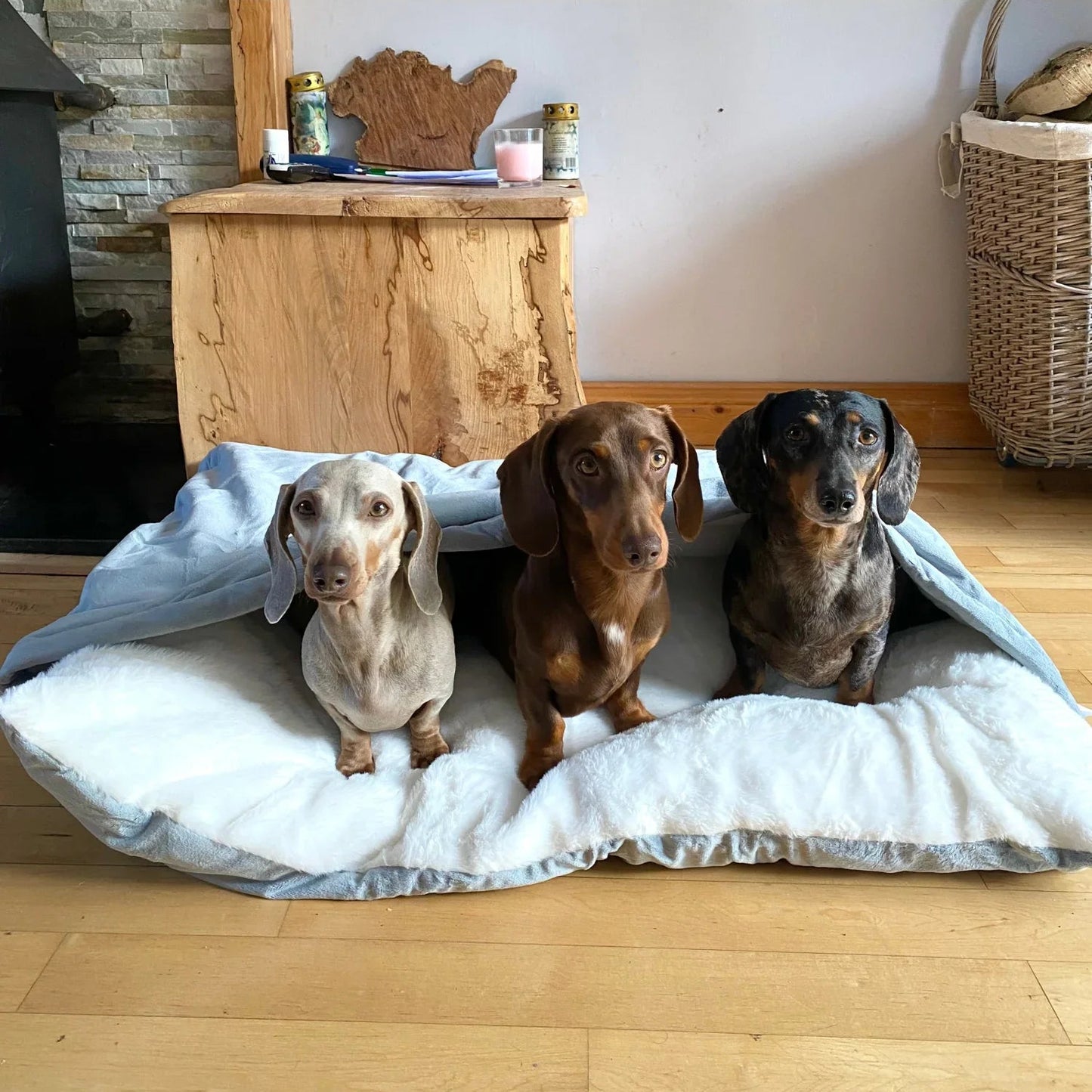 NidoCalm™ | Cama Envolvente para Perros que Buscan Calidez y Refugio