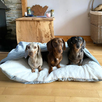 NidoCalm™ | Cama Envolvente para Perros que Buscan Calidez y Refugio
