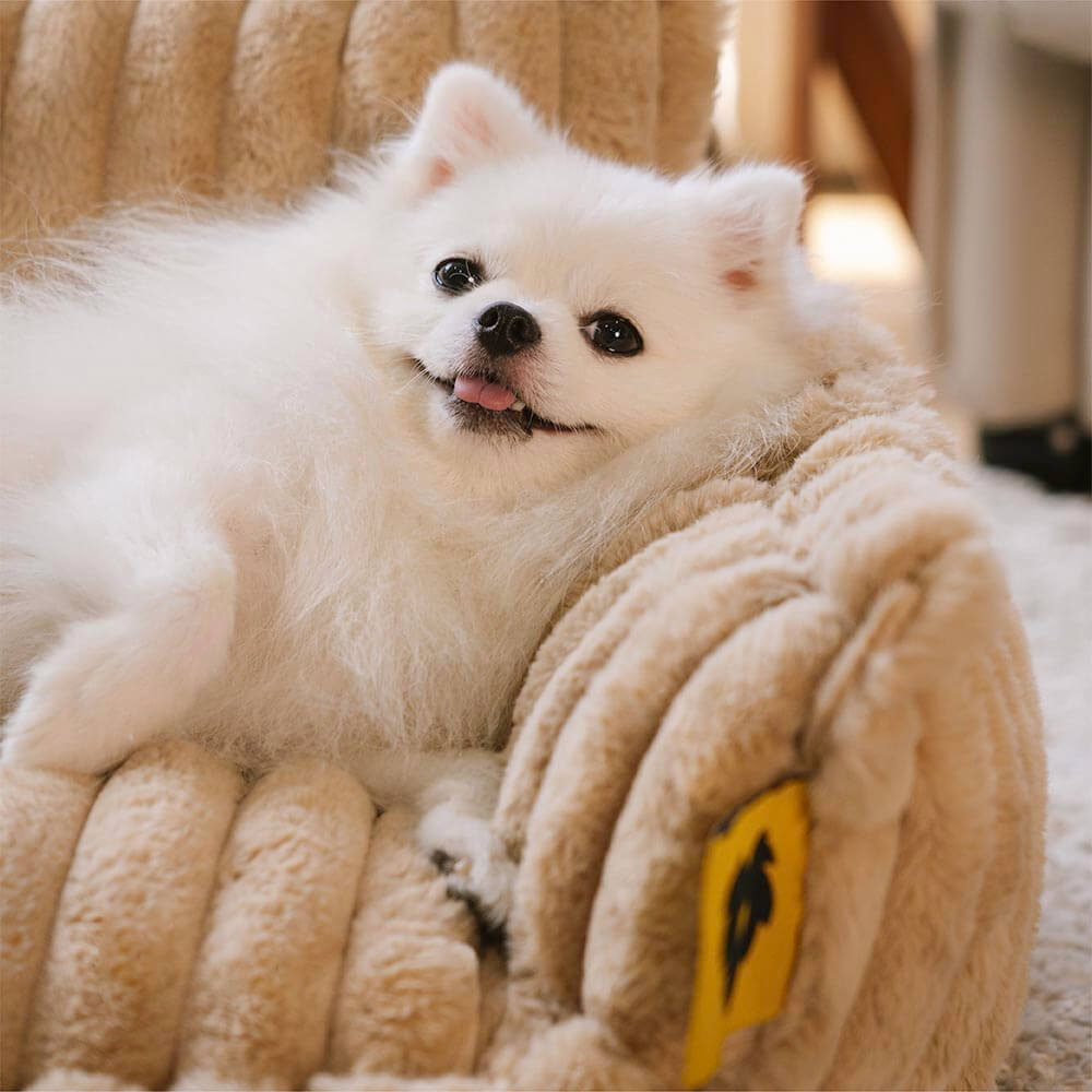 Amalia™ | Sofá Ortopédico de Pluche para Mascotas