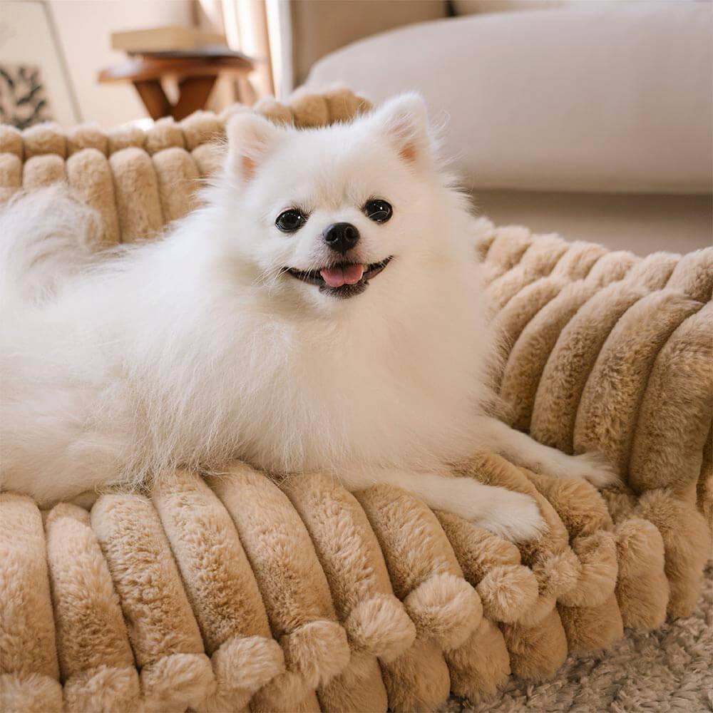 Amalia™ | Sofá Ortopédico de Pluche para Mascotas