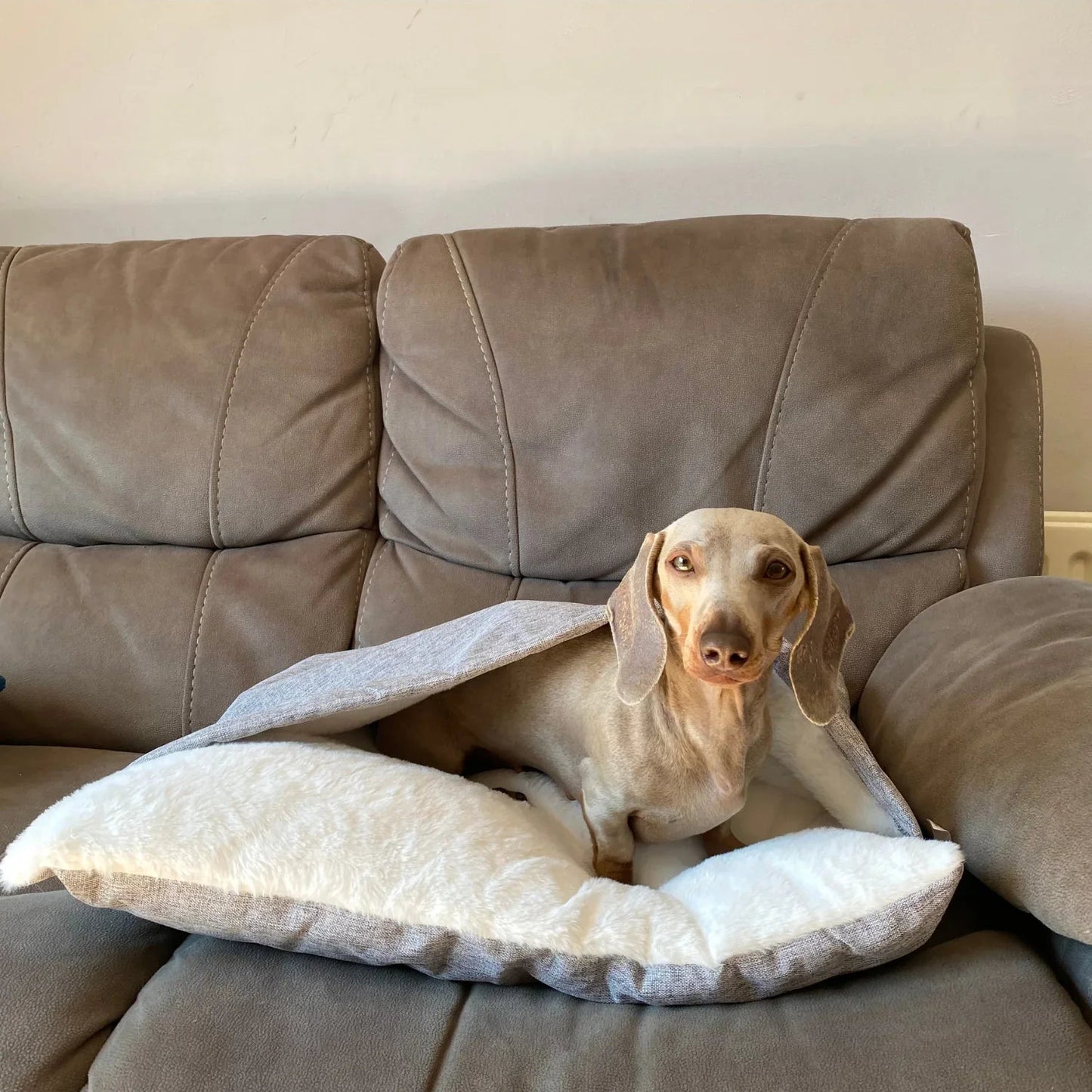 NidoCalm™ | Cama Envolvente para Perros que Buscan Calidez y Refugio