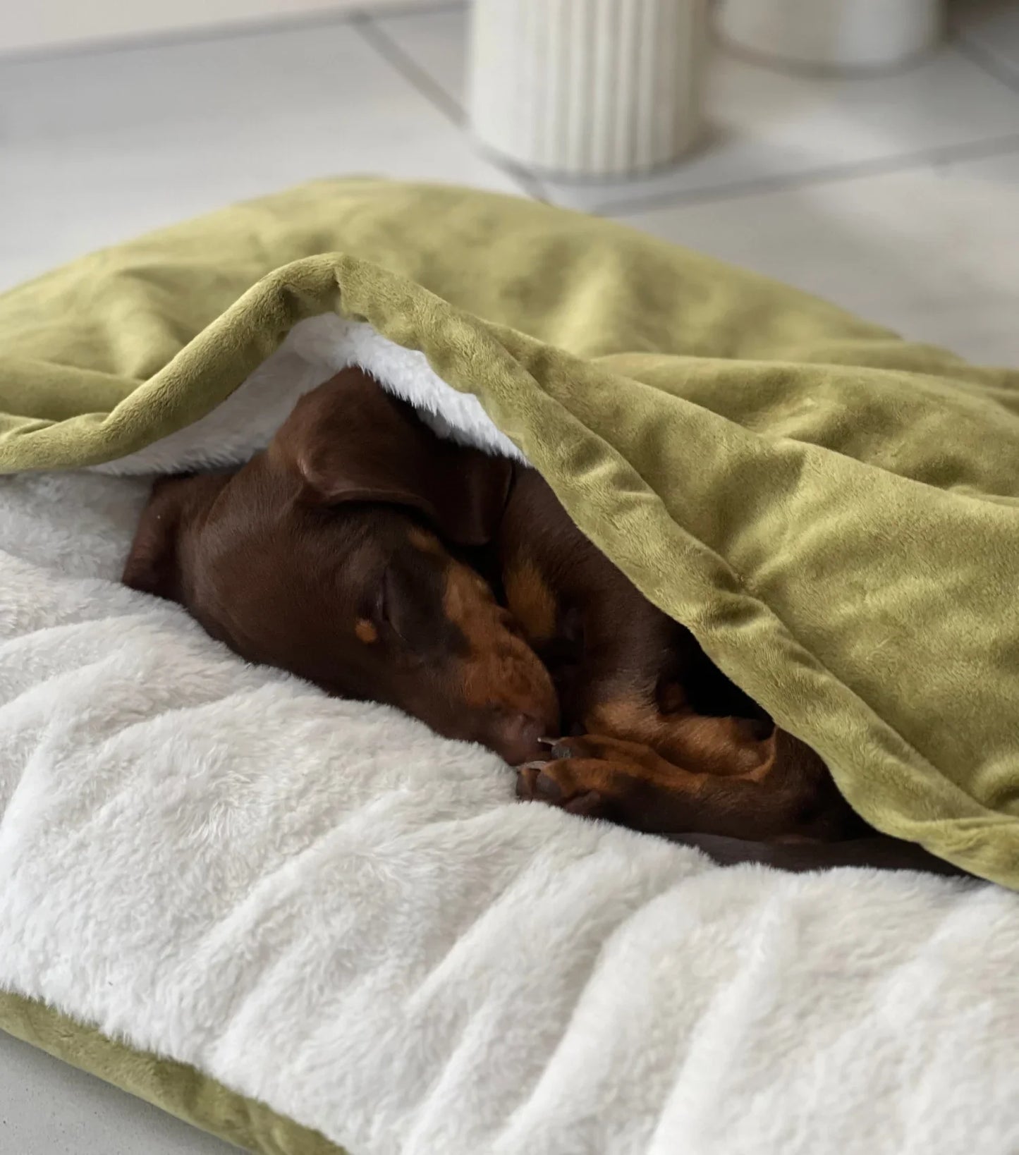 NidoCalm™ | Cama Envolvente para Perros que Buscan Calidez y Refugio