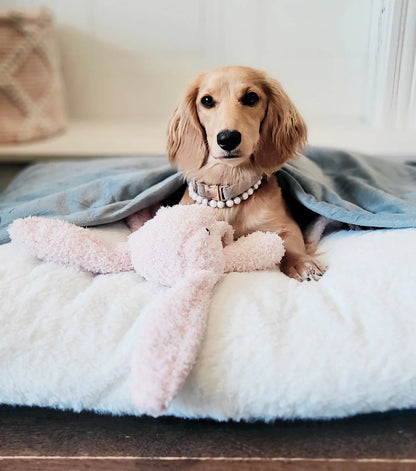 NidoCalm™ | Cama Envolvente para Perros que Buscan Calidez y Refugio