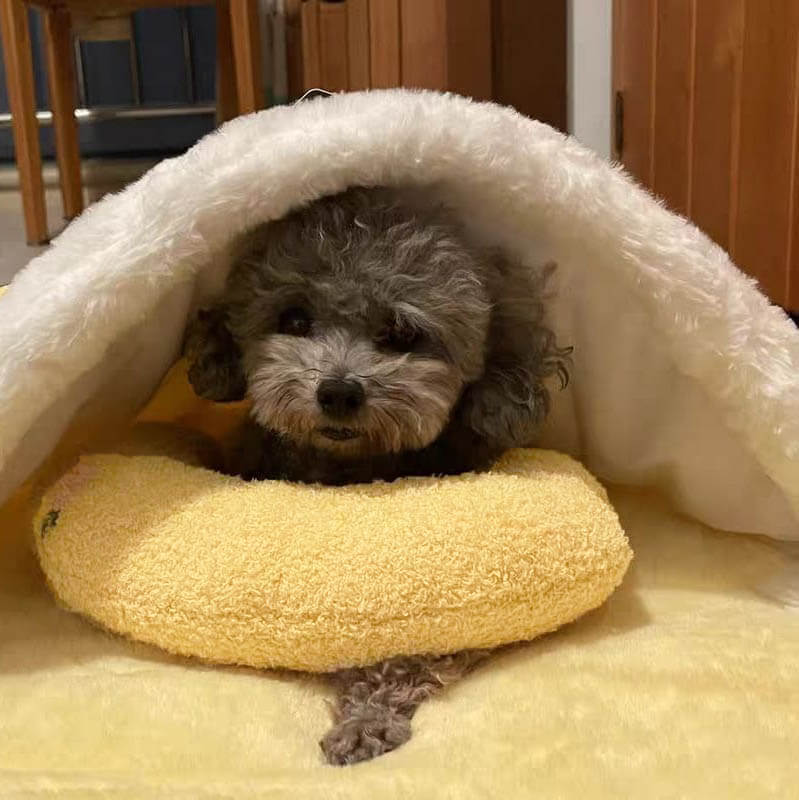 Cálido™ | Almohada Envolvente para un Descanso Profundo