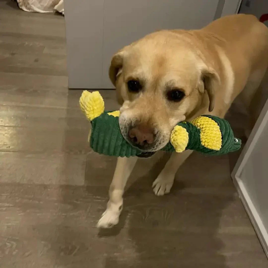 Olivia™ | Juguete Resistente para Perros