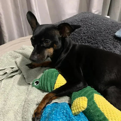 Olivia™ | Juguete Resistente para Perros