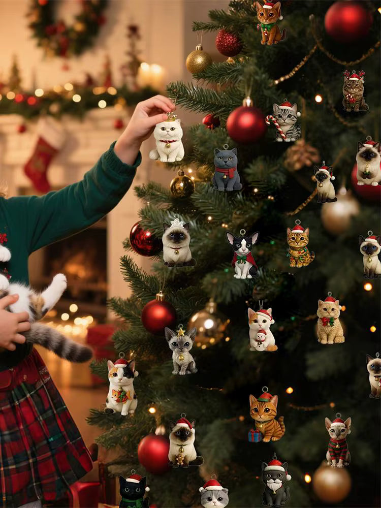 Luna™ | Calendario de Adviento Felino 24 días