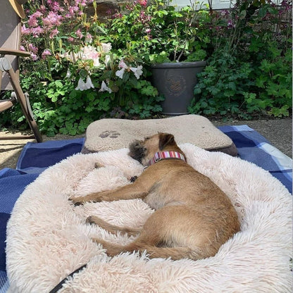 NubeCalma™ | Cama Donut Ultrasuave para un Descanso Profundo