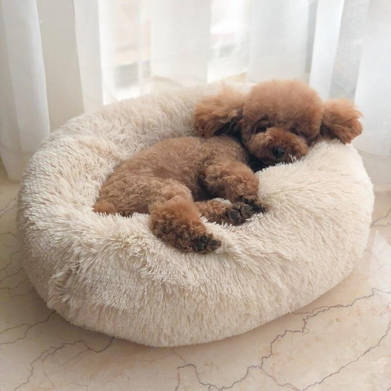 NubeCalma™ | Cama Donut Ultrasuave para un Descanso Profundo
