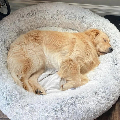 NubeCalma™ | Cama Donut Ultrasuave para un Descanso Profundo