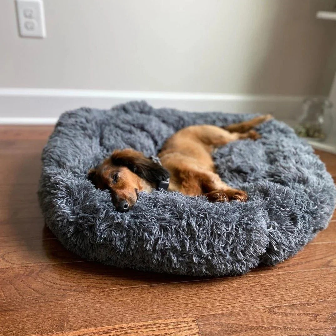 NubeCalma™ | Cama Donut Ultrasuave para un Descanso Profundo
