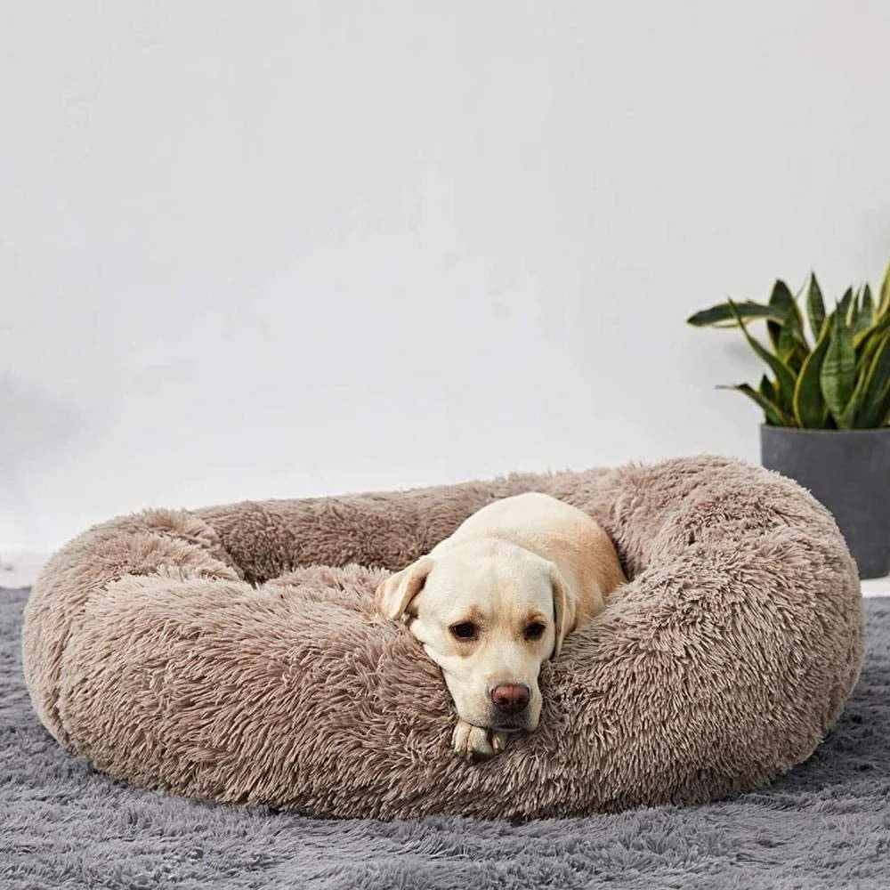 NubeCalma™ | Cama Donut Ultrasuave para un Descanso Profundo