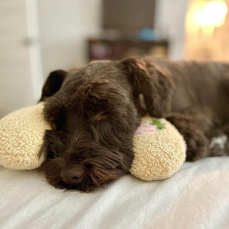Cálido™ | Almohada Envolvente para un Descanso Profundo